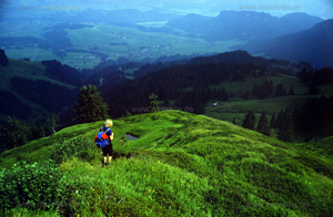Allgaeu Impression 06