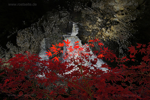 Fantasie rot schwarz