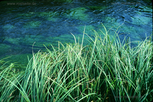 am Bach