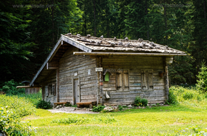 hgo_0086