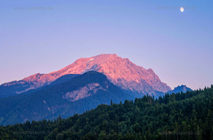 hgo_0108