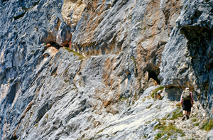 hgo_0111