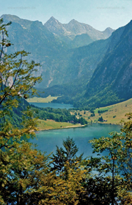 hgo_0117