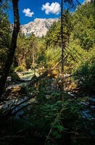 hgo_0118
