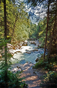 hgo_0119