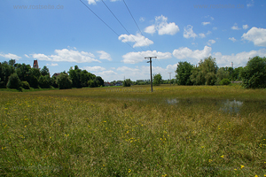 Oberfahlheim Wiesen unter Wasser