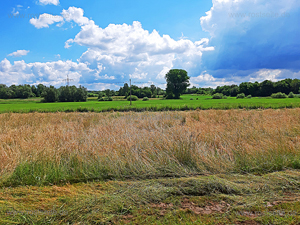 Remmeltshofen Strass 02