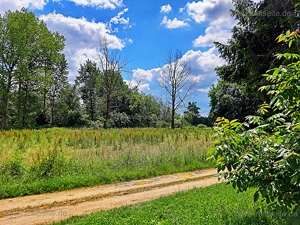 Remmeltshofen Strass