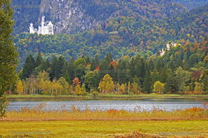Schwansee Neuschwanstein Hohenschwangau
